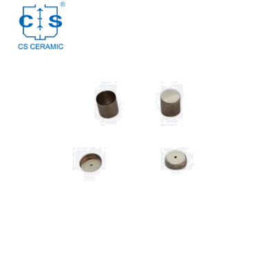 Plato de muestra de platino/PT de D5*5 mm con tapa para PerKinElmer PE-N5370562